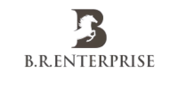 BR Logo